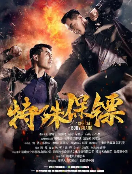 《特殊保镖》：硬汉柔情下的守护，动作与情感交织的另类英雄赞歌！