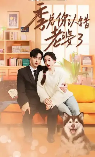 《季总你认错老婆了》：甜宠复仇爽文升级！看霸总如何‘追妻火葬场’，开启反套路恋爱