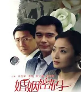 《婚姻密码》：极简主义下的婚姻真相，解锁理性与情感的终极博弈