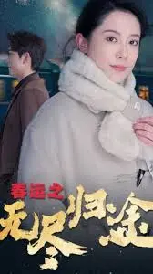 《春运之无尽归途》：一场触及灵魂的迁徙史诗，看普通人在归家的路上如何书写人间温情