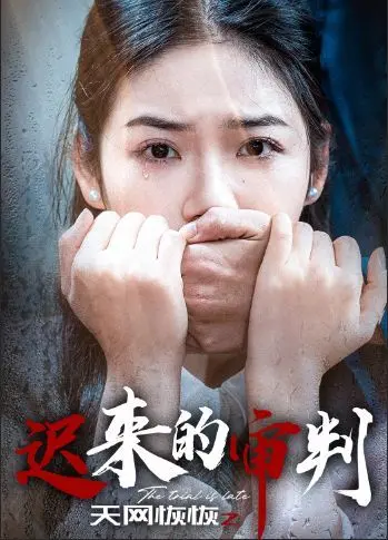 《天网恢恢之迟来的审判》：迟到的正义，是正义吗？这口碑炸裂的剧情太让人上头了！