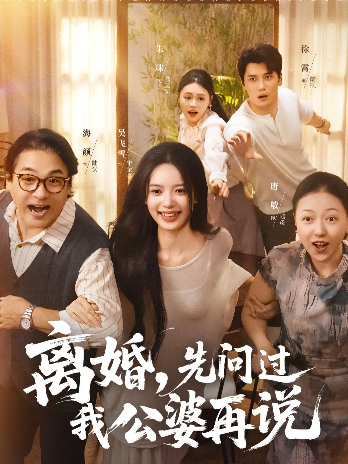 《离婚先问过我公婆再说》：这不是一部普通的家庭剧，这是关于‘分手’的终极指南！